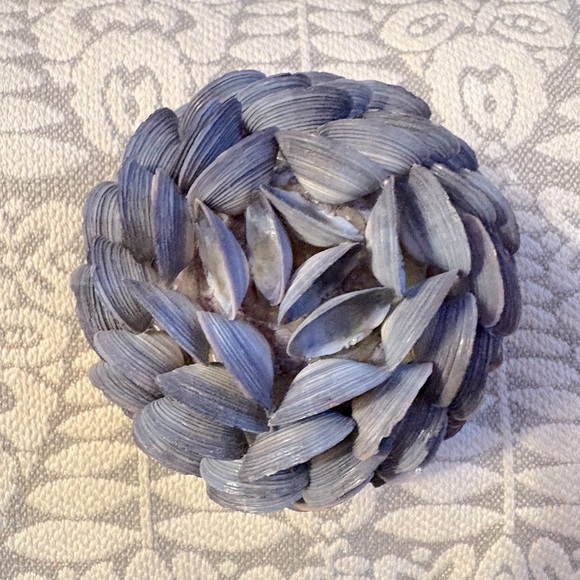 Pier 1 accent piece made entirely of small  seashells to enjoy anywhere - Picture 7 of 8